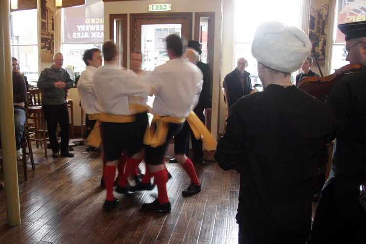 Photograph of Black Swan